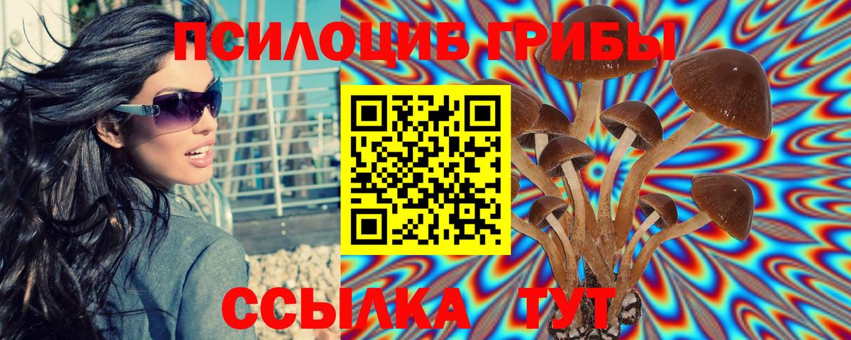 Псилоцибиновые грибы ЛСД  закладки  Вход с VPN  Зерноград  Галлюциногенные грибы мухоморы 