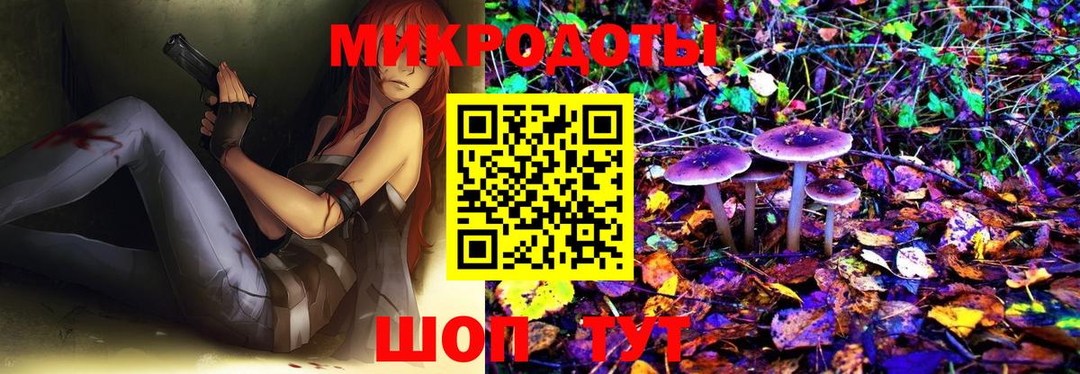 Галлюциногенные грибы Cubensis Зерноград